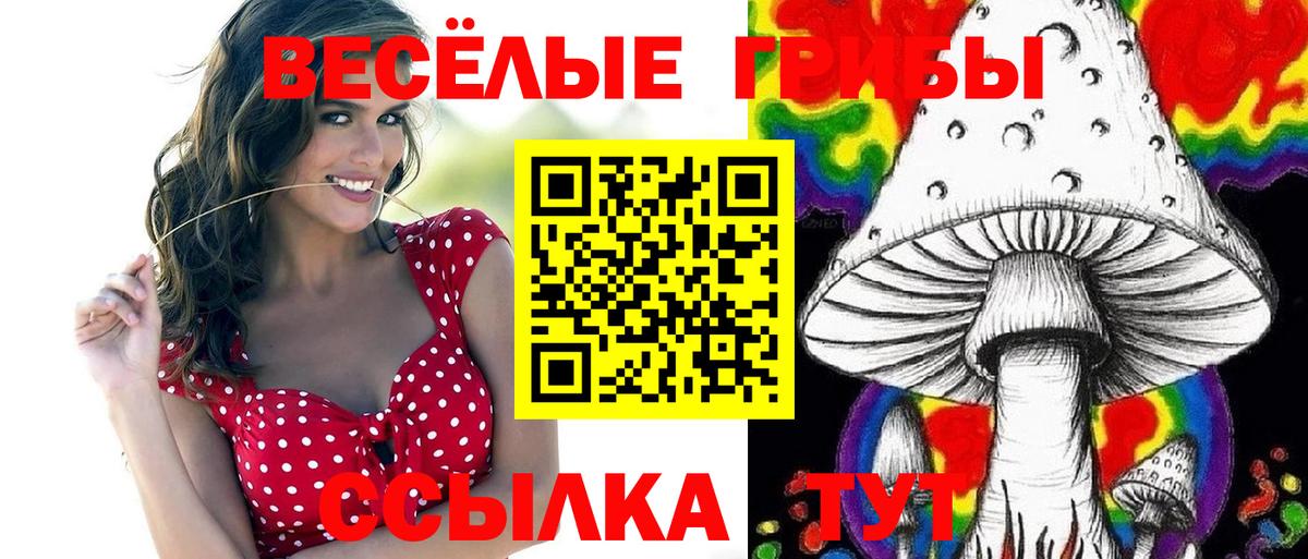 Псилоцибиновые грибы Psilocybine cubensis  Вход с VPN  Галлюциногенные грибы мухоморы  Кострома 